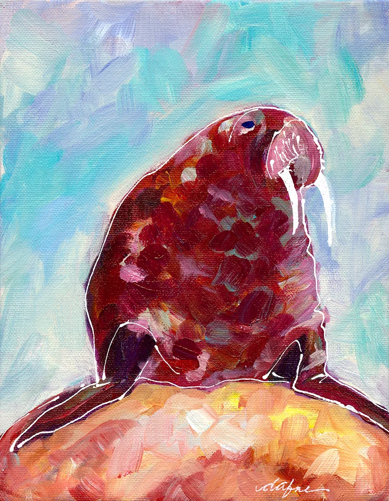 W is for Walrus